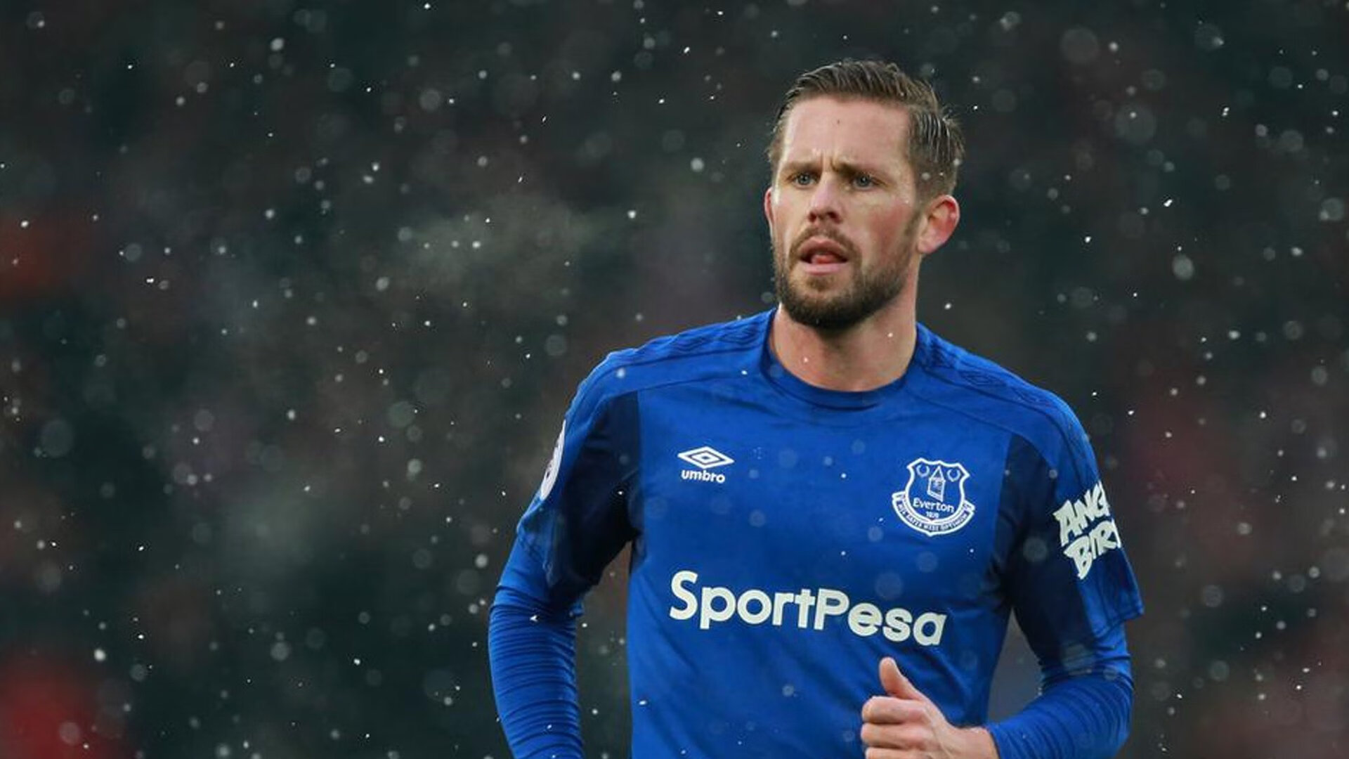 印度击败新西兰夺得T20世界杯冠军，强势登顶世界板球之巅，印度参加世界杯预选赛了吗